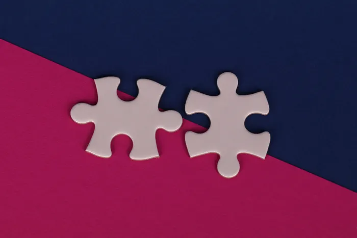 Jigsaw Puzzle Collecting for Absolute Beginners: Essentials